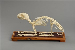 Image description is not available for 2003.6.1